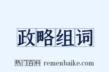 政略组词是什么意思的图片